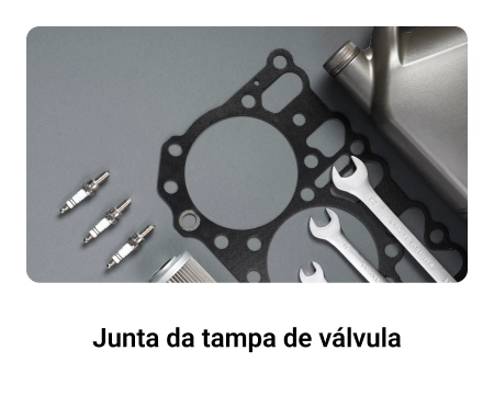 Junta-da-tampa-de-valvula