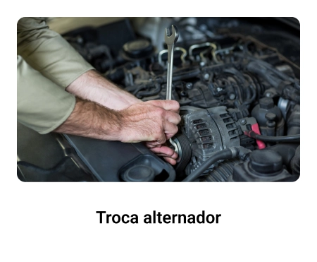 Troca-alternador